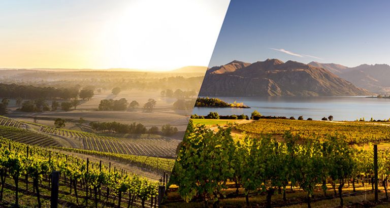 Australian and New Zealand vineyards